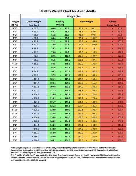 cnfans weight chart